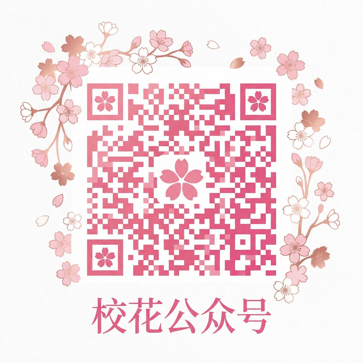 www.海角社区.com公众号二维码